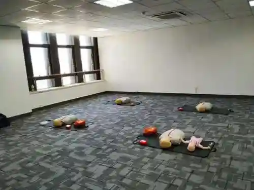 最强沙鹰搭配什么阵容好插图23