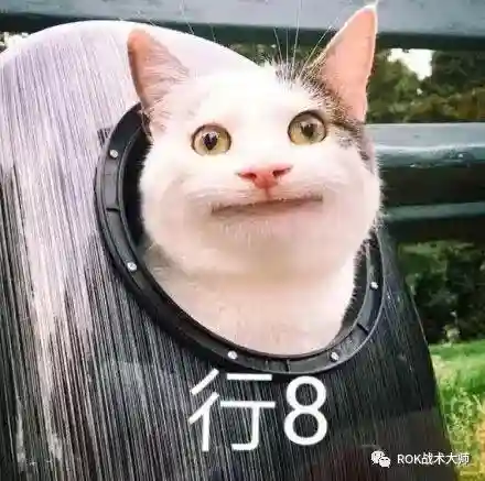万国关羽搭配什么阵容插图43