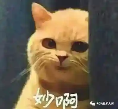 万国关羽搭配什么阵容插图22