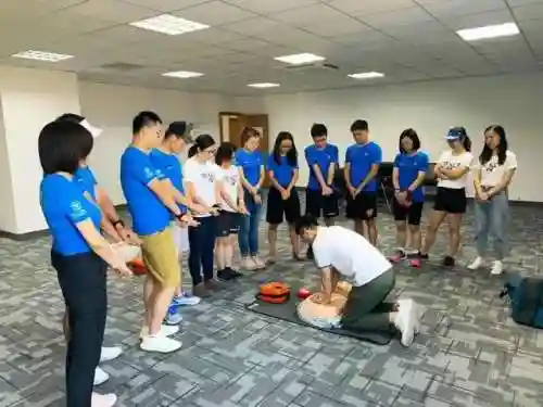 最强沙鹰搭配什么阵容好插图24