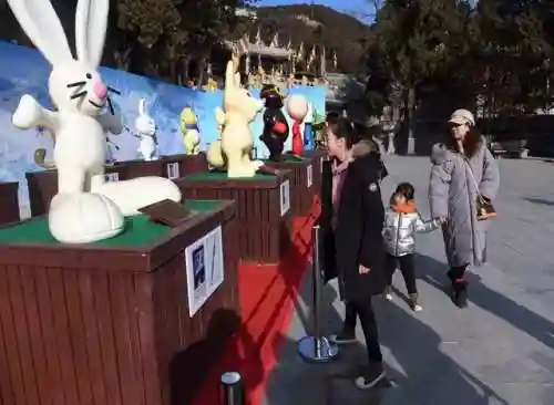 伊洛克搭配什么阵容插图7