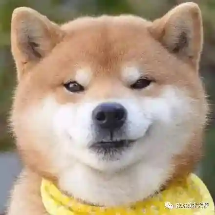 万国关羽搭配什么阵容插图2