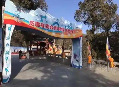 伊洛克搭配什么阵容插图