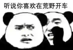 荒野车队阵容搭配插图
