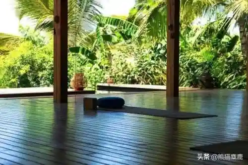 水晶冥想推荐阵容搭配(心海配什么阵容)插图7