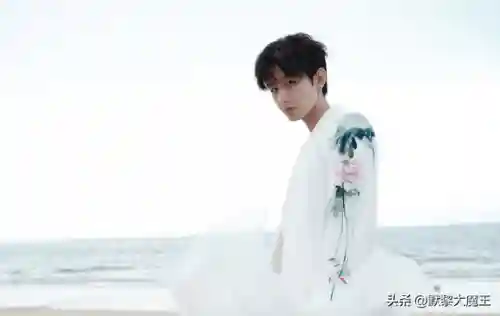 跨越星狐阵容搭配(奇缘之旅t0阵容)插图12