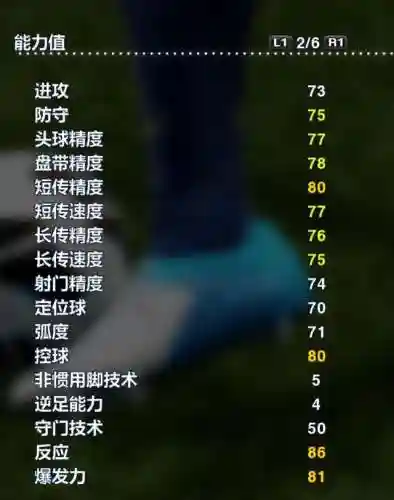 实况2013阵容搭配图(实况足球2012最佳阵容)插图16