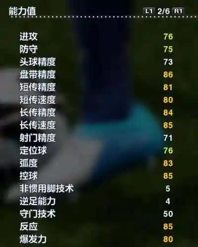 实况2013阵容搭配图(实况足球2012最佳阵容)插图32