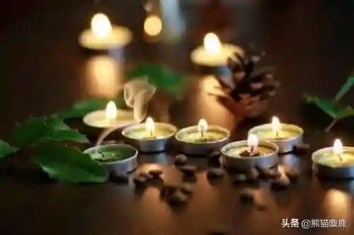 水晶冥想推荐阵容搭配(心海配什么阵容)插图3
