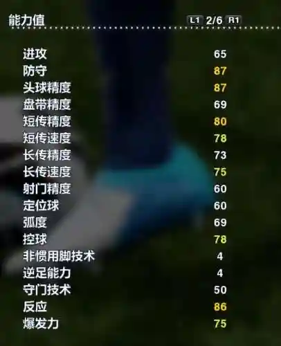 实况2013阵容搭配图(实况足球2012最佳阵容)插图44