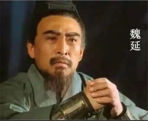 命运战歌刘备魏延搭配阵容(魏延阵容t0搭配)插图6