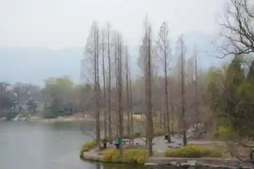 原始先祖搭配阵容推荐最新(最后的原始人最强阵容)插图3