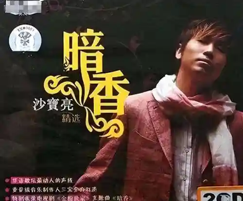 明星阵容最大的一首歌是(明星大合唱的歌曲有哪些)插图5