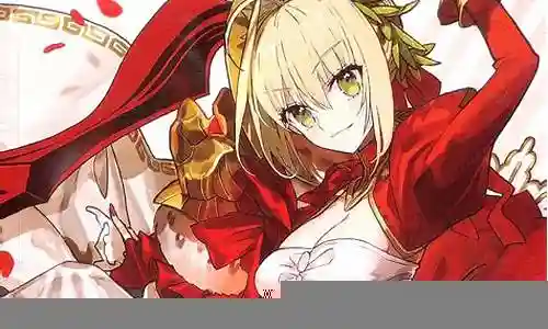 fgo刑部姬阵容搭配插图