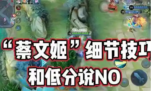 蔡文姬后羿最强阵容搭配插图