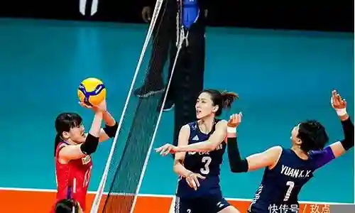 未来女排阵容搭配图文插图