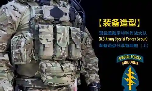 海豹部队搭配阵容推荐图插图