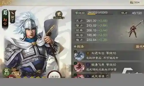 普通姜维阵容搭配图插图