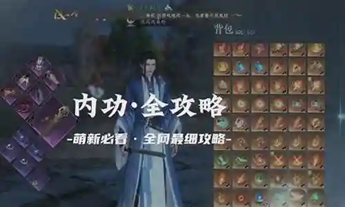 萌新内功搭配阵容插图