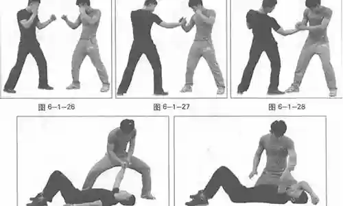 格斗擒拿组合阵容搭配最新插图