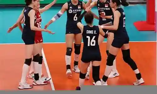 女排队员阵容搭配插图