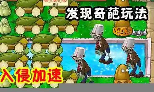 植物大战僵尸香蒲阵容搭配插图