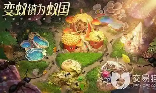 蚂蚁王国阵容搭配攻略插图