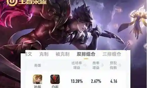 王者双人阵容搭配推荐插图