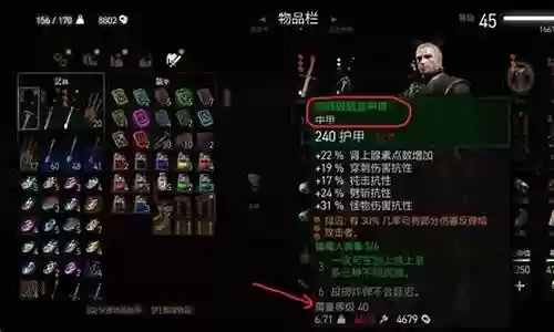 巫师3能能装备弓吗插图