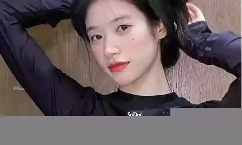 段小微阵容插图