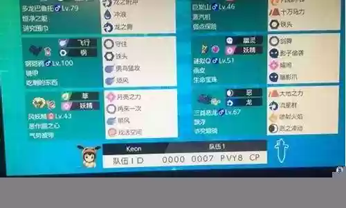 剑盾大师阵容插图