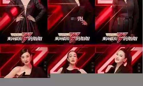 乘风作浪的姐姐阵容插图