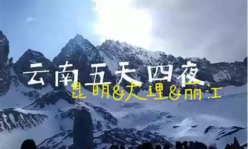 四夜游阵容插图