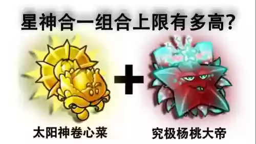 卷心菜阵容插图