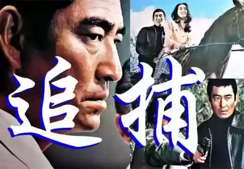 追捕恶心阵容插图