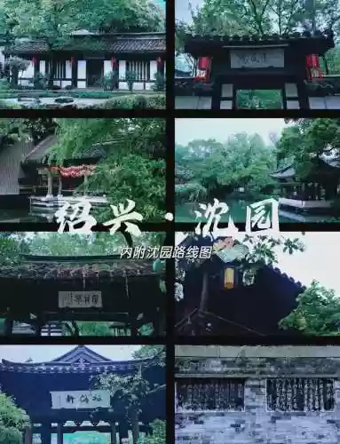 沈园阵容插图1