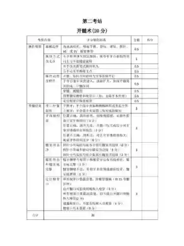 max技能评分插图1