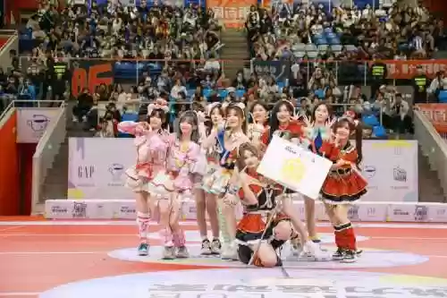 人气偶像阵容插图