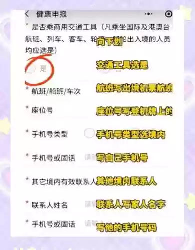 检疫站攻略密码插图1