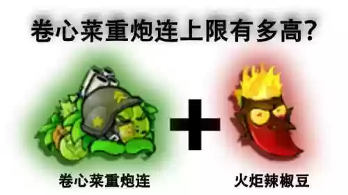 卷心菜阵容插图1