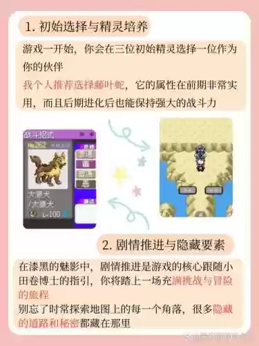 口袋妖怪黑魅影的游戏视频攻略大全插图1