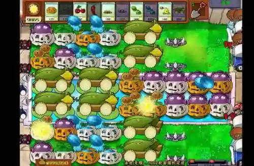 植物大战僵尸无尽的挑战视频攻略插图