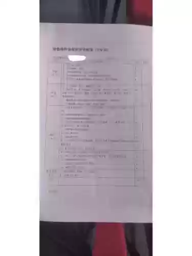 max技能评分插图