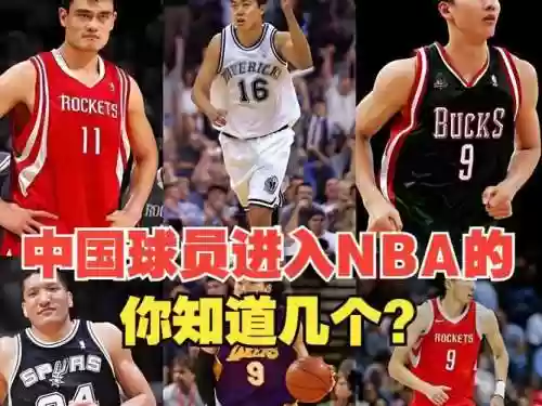 华人nba阵容插图