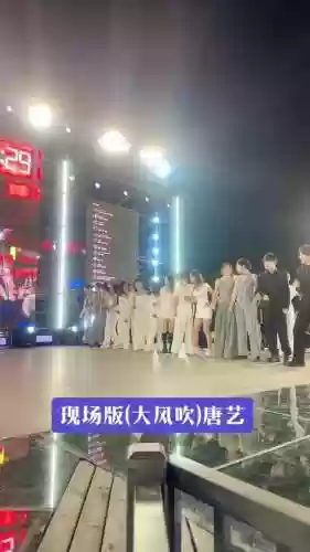 大风吹阵容插图1