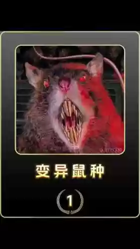 变异老鼠阵容插图1