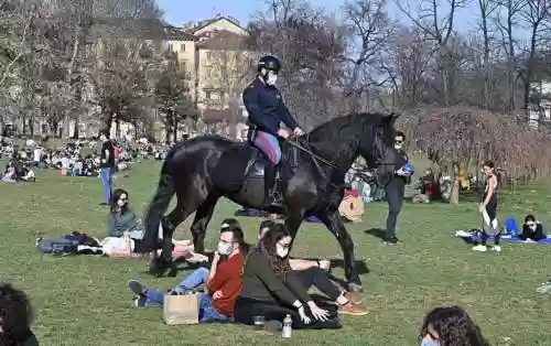 意大利骑警阵容插图