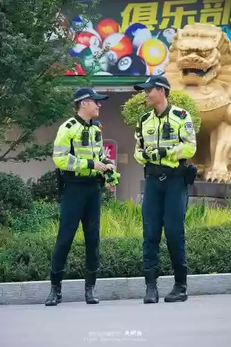 交警813阵容插图1