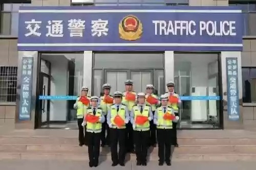 交警813阵容插图