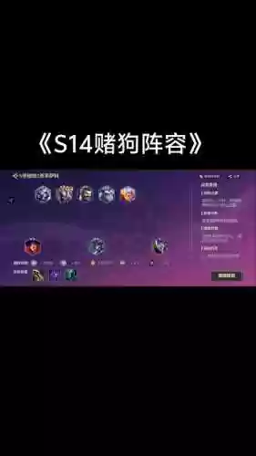 金灿灿狗阵容插图